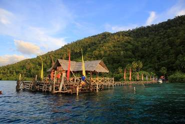 © copyright by Raja Ampat Dive Lodge