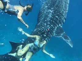 © copyright by Lori Bodhaine