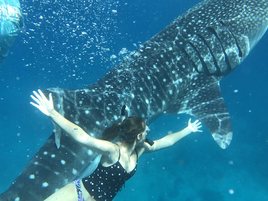 © copyright by Lori Bodhaine