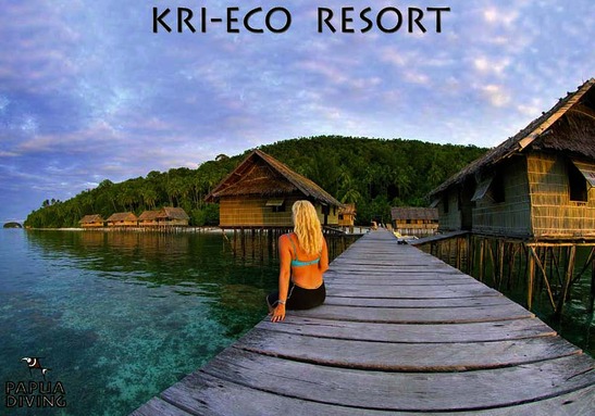 © copyright by Kri Eco Resort