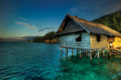 © copyright by Papua Diving