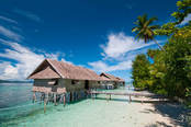 © copyright by Papua Diving