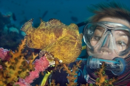 © copyright by Atlantis Resorts