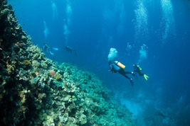 © copyright by Diversion Dive Travel