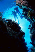 © copyright by Deep Sea Divers Den