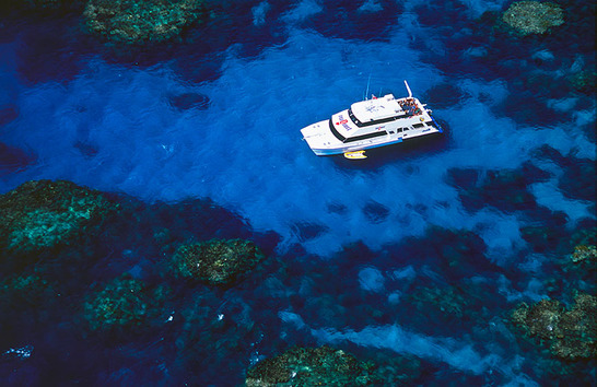 © copyright by Diversion Dive Travel