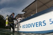 © copyright by Eco Divers