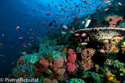 © copyright by Pierre Rebufat