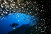 © copyright by Atlantis Resorts