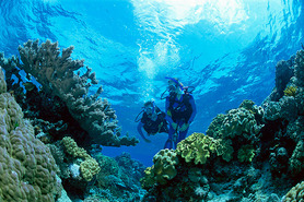 © copyright by Deep Sea Divers Den
