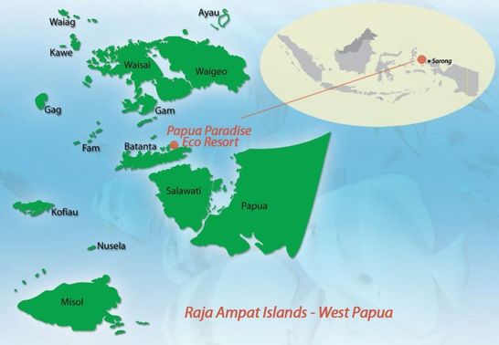 © copyright by Papua Paradise Eco Resort