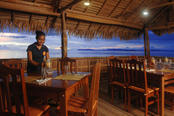 © copyright by Papua Paradise