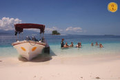 © copyright by Papua Paradise