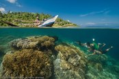 © copyright by Papua Paradise