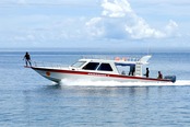 © copyright by Papua Paradise