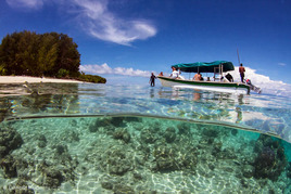 © copyright by Papua Diving