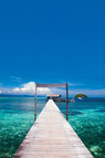 © copyright by Papua Diving