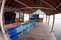 © copyright by Papua Diving