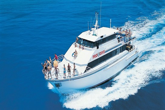 © copyright by Diversion Dive Travel