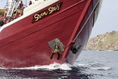 © copyright by Seven Seas