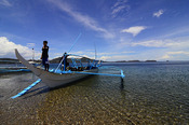 © copyright by Buceo Anilao