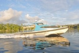 © copyright by Dive Munda