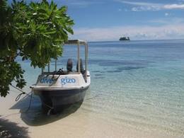 © copyright by Dive Gizo