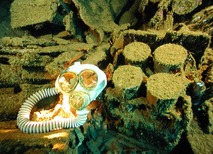 © copyright by Dive Gizo