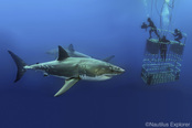 © copyright by Nautilus Explorer