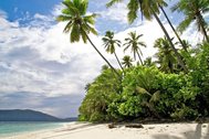 © copyright by Agusta Eco Resort