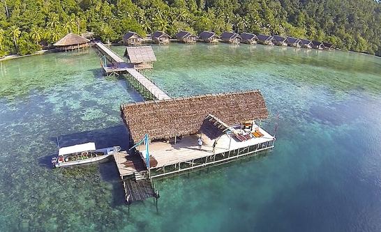 © copyright by Papua Explorers