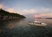 © copyright by Papua Explorers