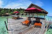 © copyright by Papua Explorers