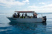© copyright by Taveuni Dive