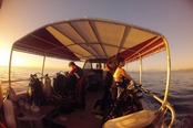 © copyright by Taveuni Dive