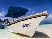 © copyright by Biodiversity Resort