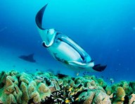 © copyright by Biodiversity Resort