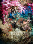 © copyright by Biodiversity Resort