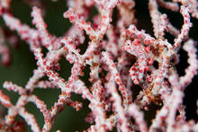 © copyright by Biodiversity Resort