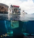 © copyright by Nautilus Explorer
