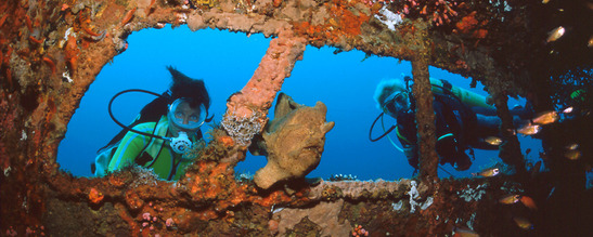 © copyright by El Galleon & Asia Divers