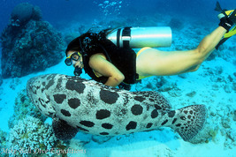 © copyright by Mike Ball Expeditions