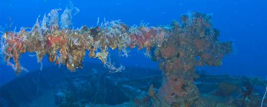 © copyright by Nicolai Rupprechter