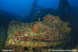 © copyright by Nicolai Rupprechter