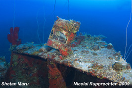 © copyright by Nicolai Rupprechter