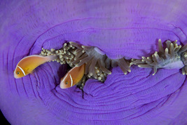 © copyright by J&uuml;rgen Freund